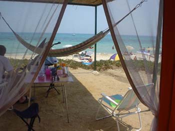 bormes_les_mimosas_00